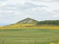 Le mont d'Alambre